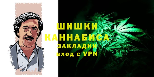 PSILOCYBIN Краснослободск