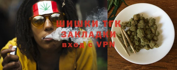 PSILOCYBIN Краснослободск