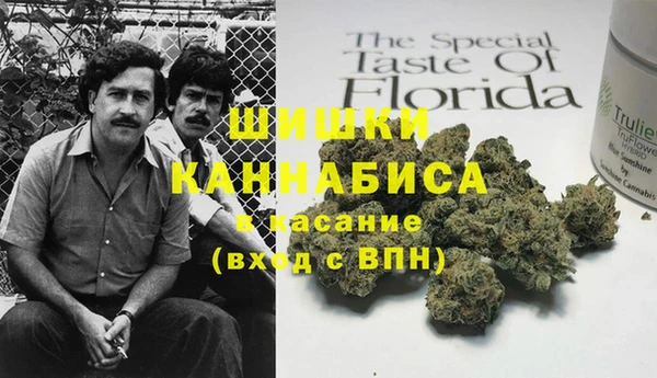 PSILOCYBIN Краснослободск