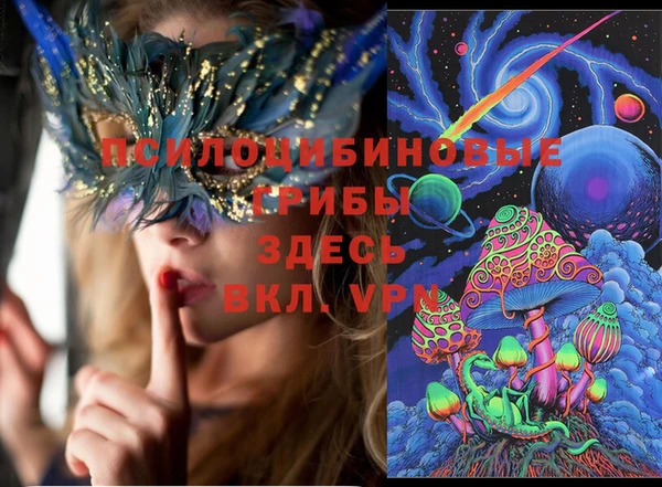 PSILOCYBIN Краснослободск